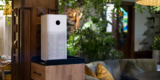 What’s the Difference Between HEPA and Non-HEPA Air Purifiers?